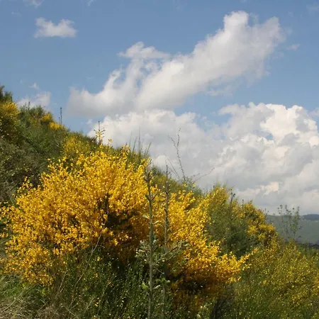 펜션 Les Hauts De Bussieres Vaux-en-Beaujolais