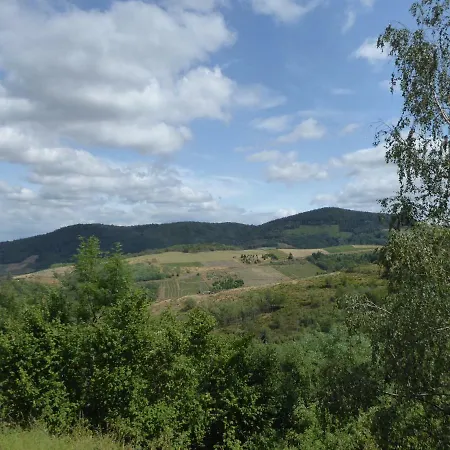 Les Hauts De Bussieres 펜션 *