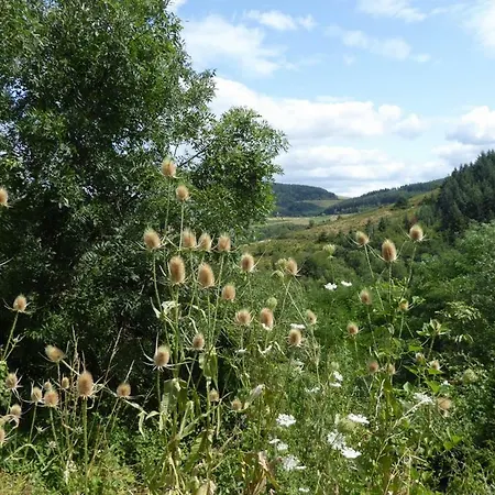 Les Hauts De Bussieres 펜션
