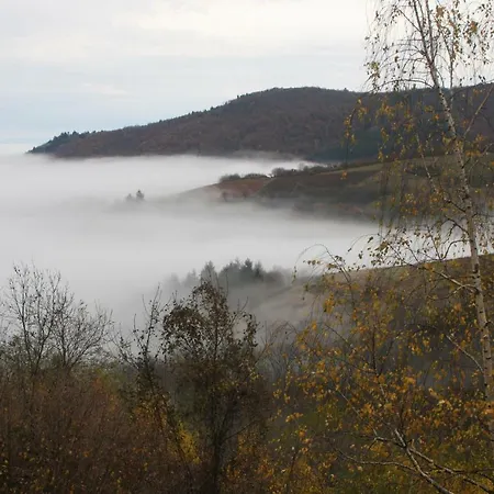 Les Hauts De Bussieres 펜션