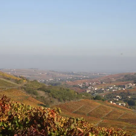 펜션 Les Hauts De Bussieres *
