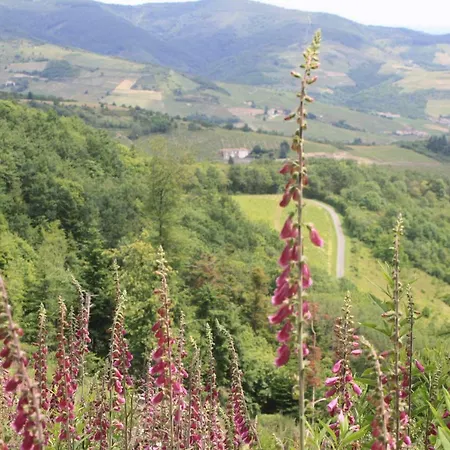 Les Hauts De Bussieres